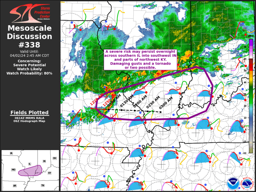 Mesoscale Discussion 338