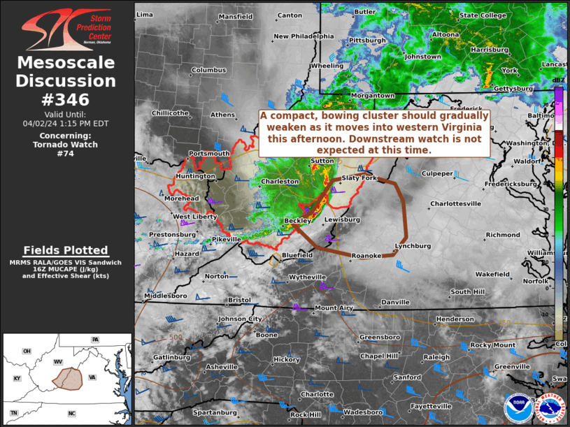 Mesoscale Discussion 346