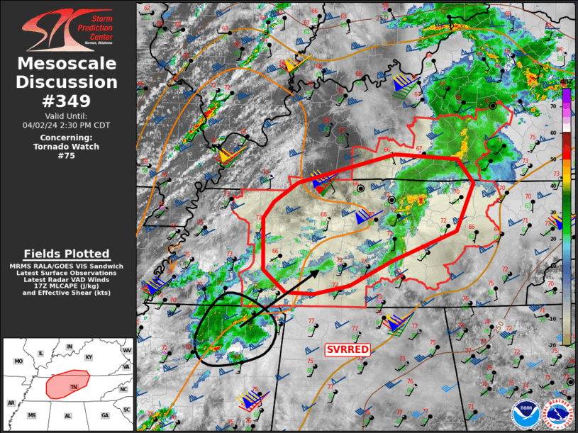 Mesoscale Discussion 349