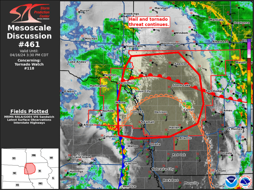 Mesoscale Discussion 461