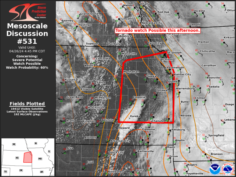 Mesoscale Discussion 531
