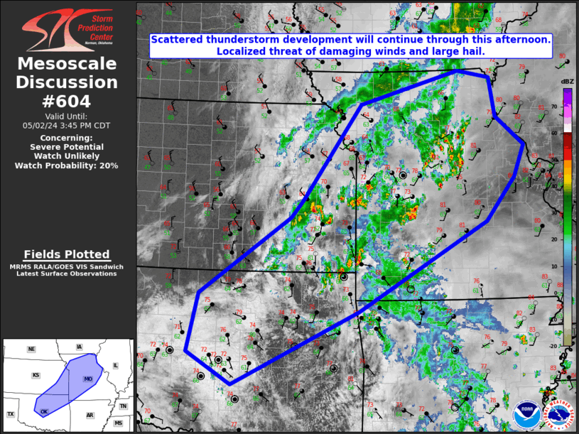 Mesoscale Discussion 604