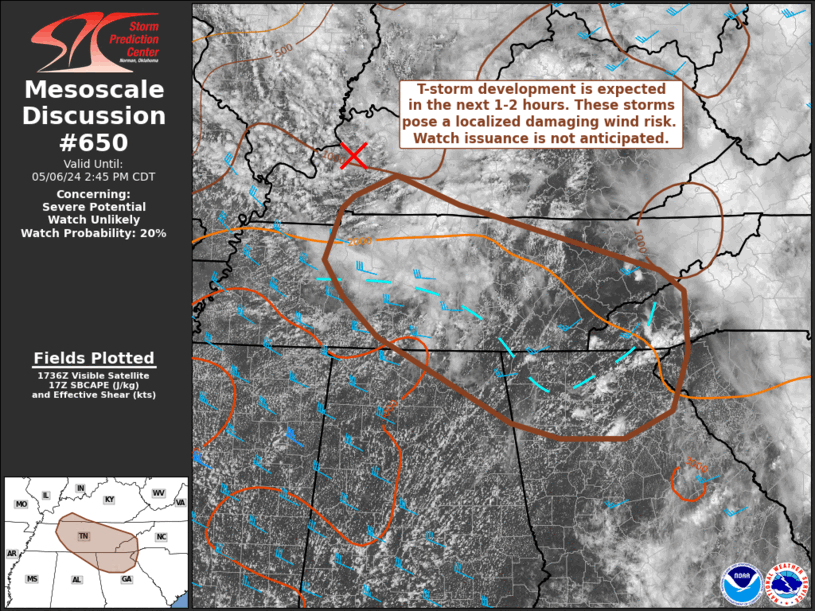 Mesoscale Discussion 650