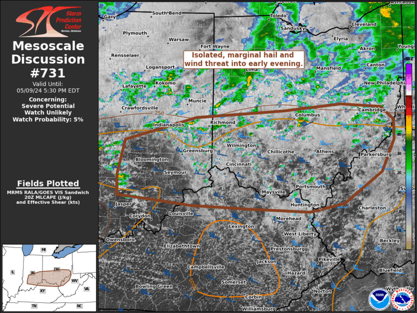 Mesoscale Discussion 731