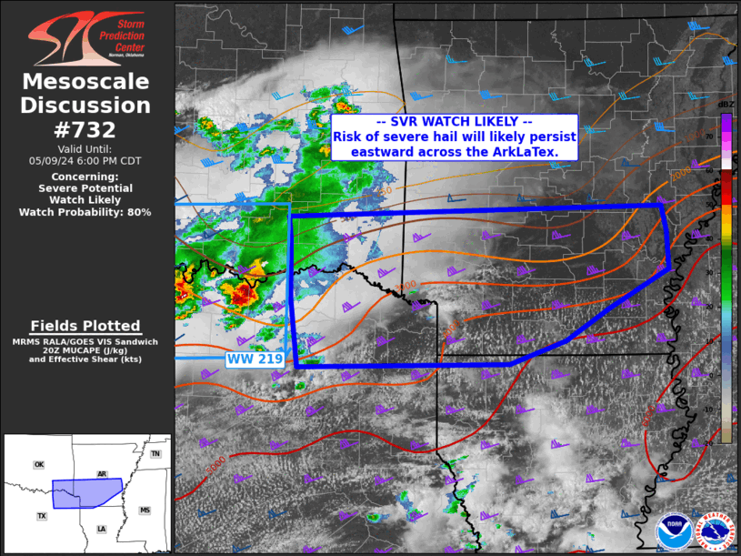 Mesoscale Discussion 732