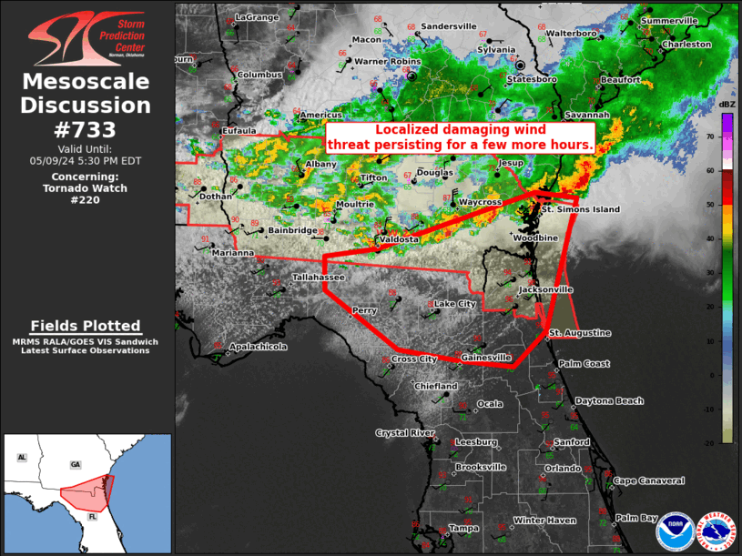 Mesoscale Discussion 733