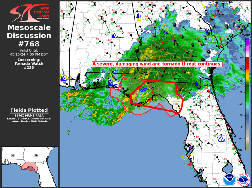 Mesoscale Discussion 768
