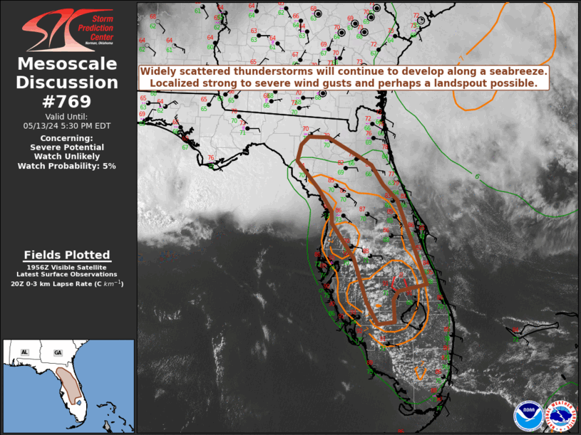 Mesoscale Discussion 769