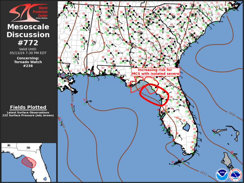 Mesoscale Discussion 772