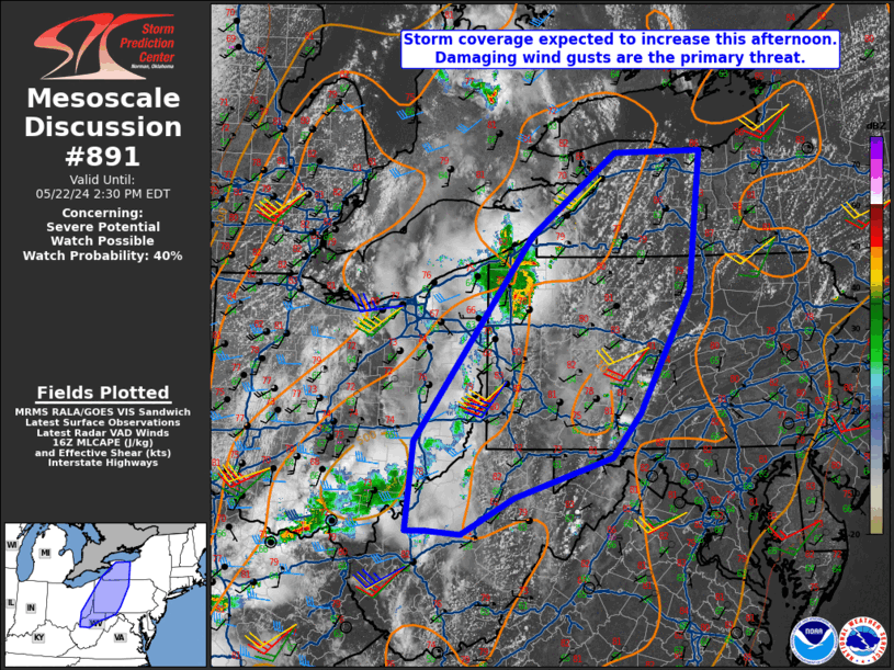 Mesoscale Discussion 891