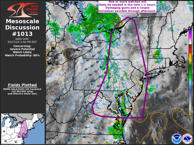 Mesoscale Discussion 1013