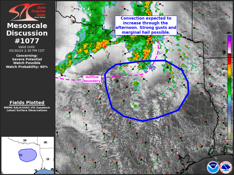 Mesoscale Discussion 1077