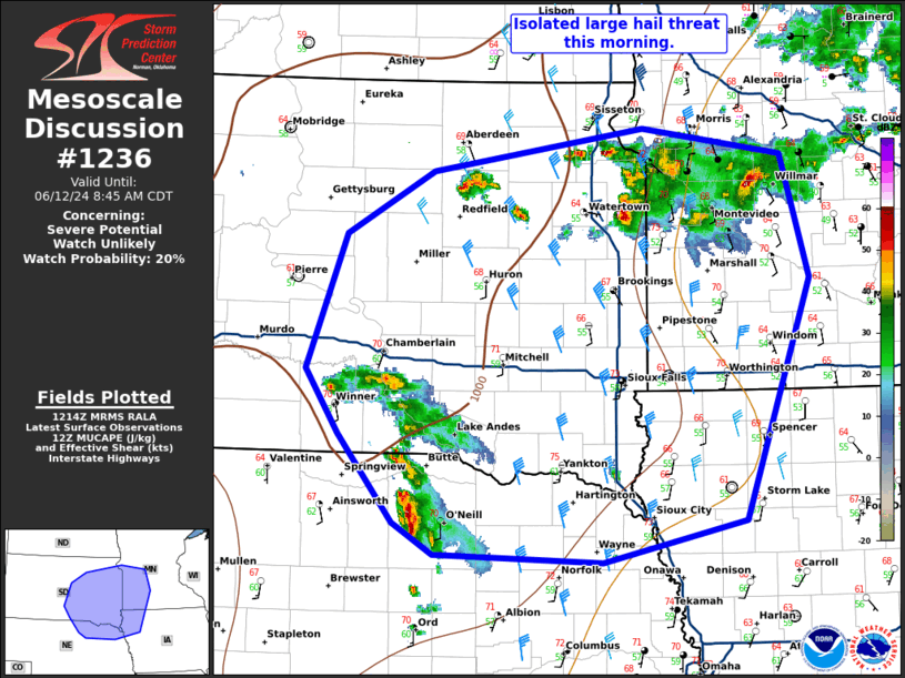 Mesoscale Discussion 1236