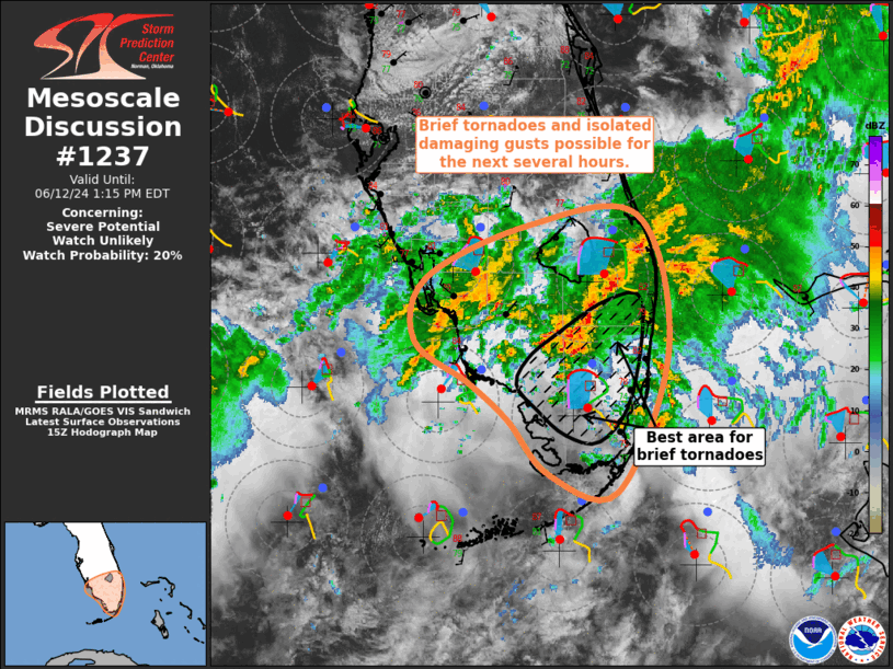Mesoscale Discussion 1237