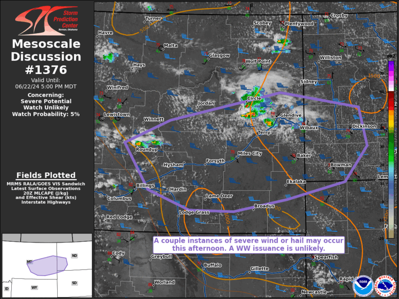 Mesoscale Discussion 1376