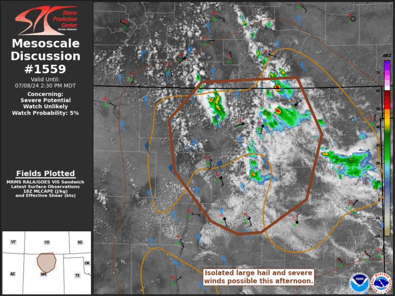 Mesoscale Discussion 1559