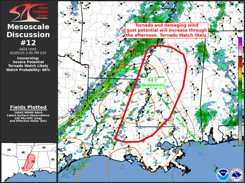 Mesoscale Discussion 12