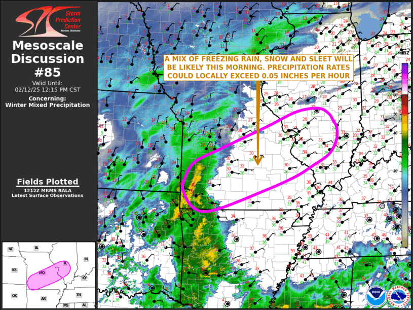 Mesoscale Discussion 85