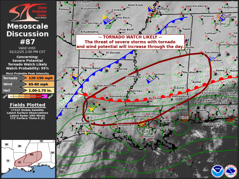 Mesoscale Discussion 87