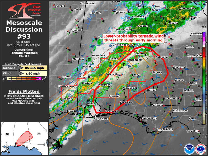 Mesoscale Discussion 93