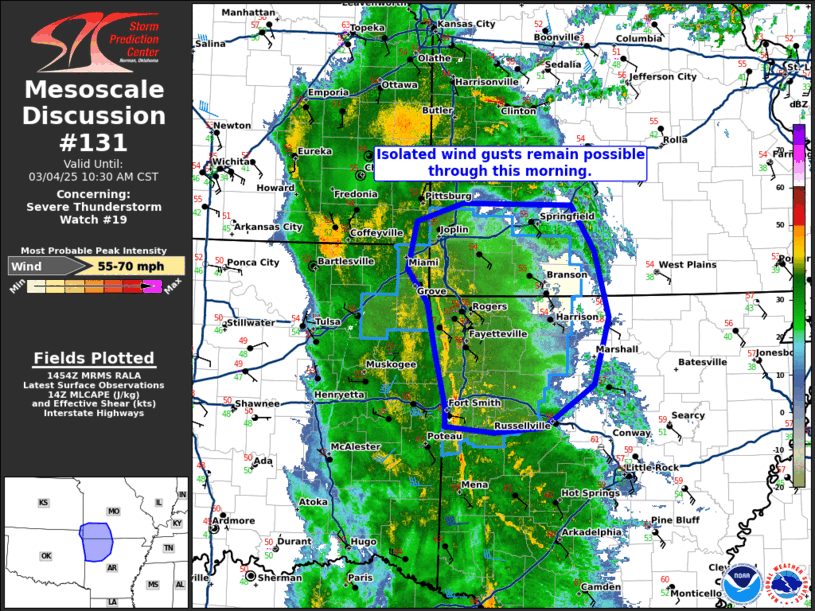 Mesoscale Discussion 131