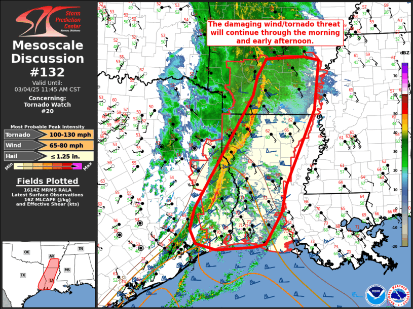 Mesoscale Discussion 132