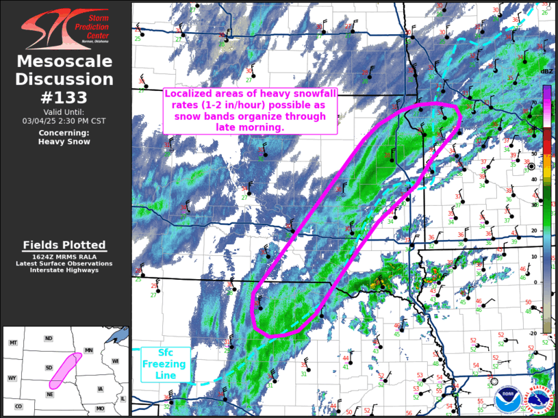 Mesoscale Discussion 133