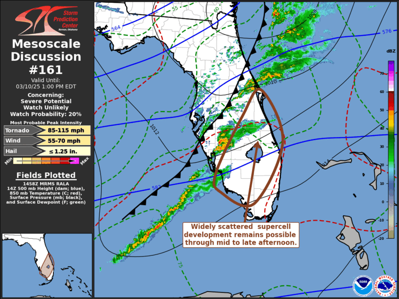 Mesoscale Discussion 161