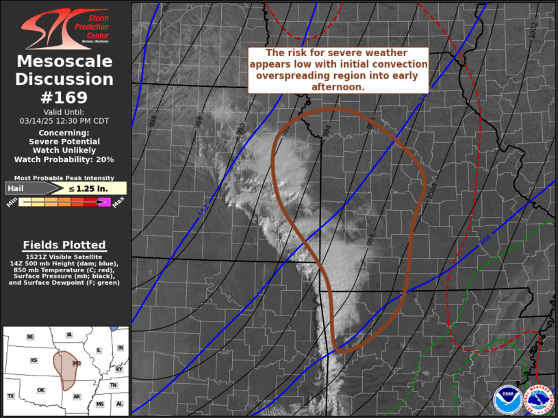 Mesoscale Discussion 169