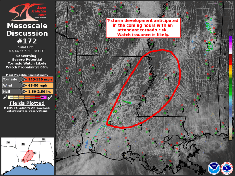 Mesoscale Discussion 172
