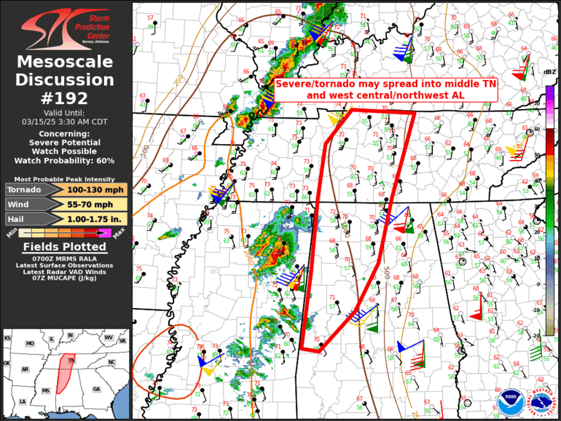 Mesoscale Discussion 192