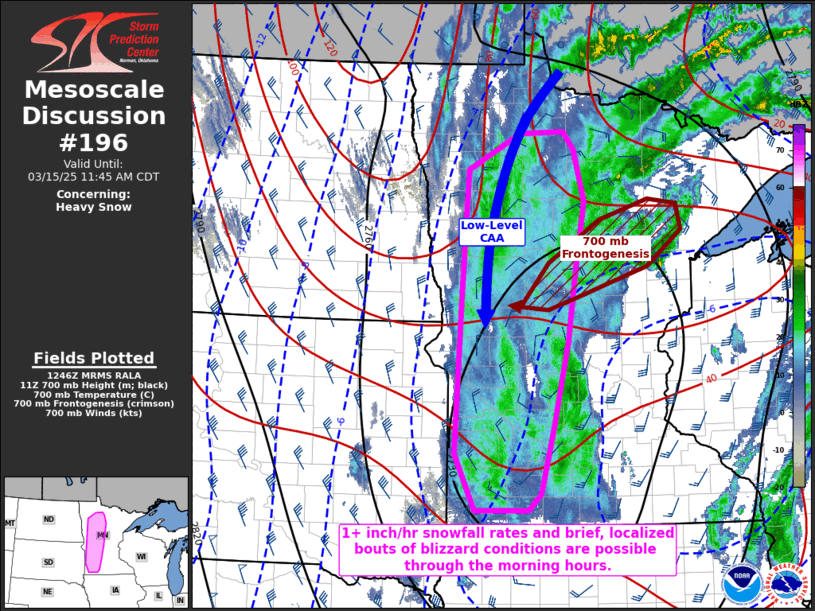 Mesoscale Discussion 196