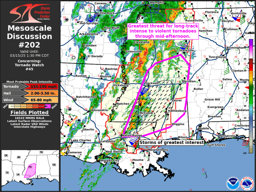 Mesoscale Discussion 202