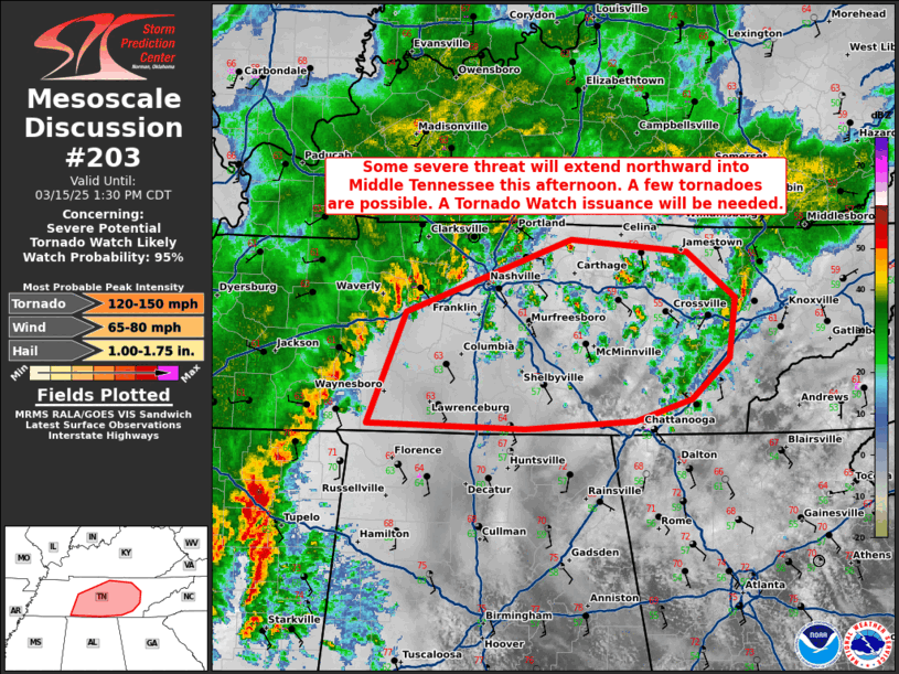 Mesoscale Discussion 203