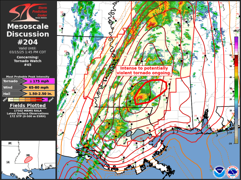 Mesoscale Discussion 204