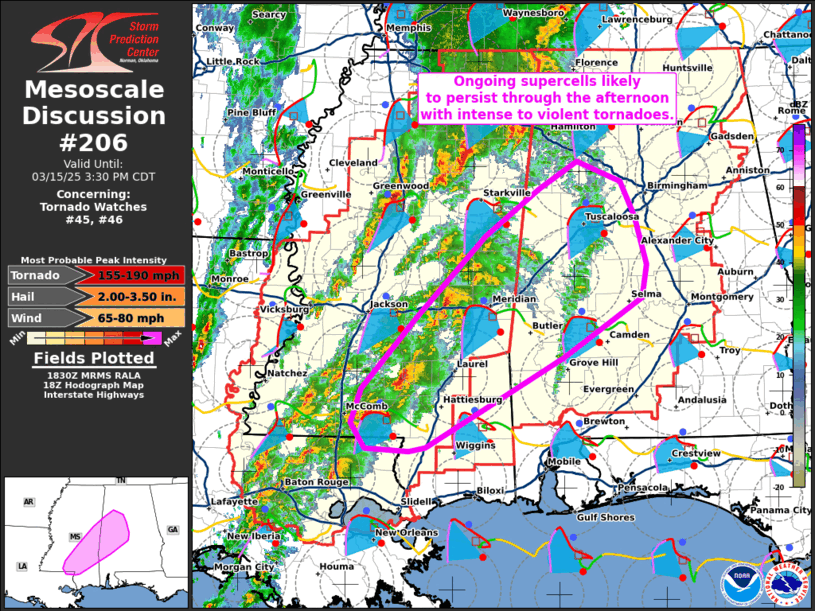 Mesoscale Discussion 206