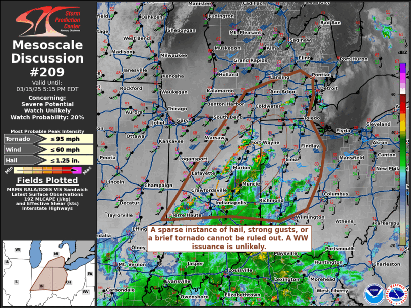 Mesoscale Discussion 209