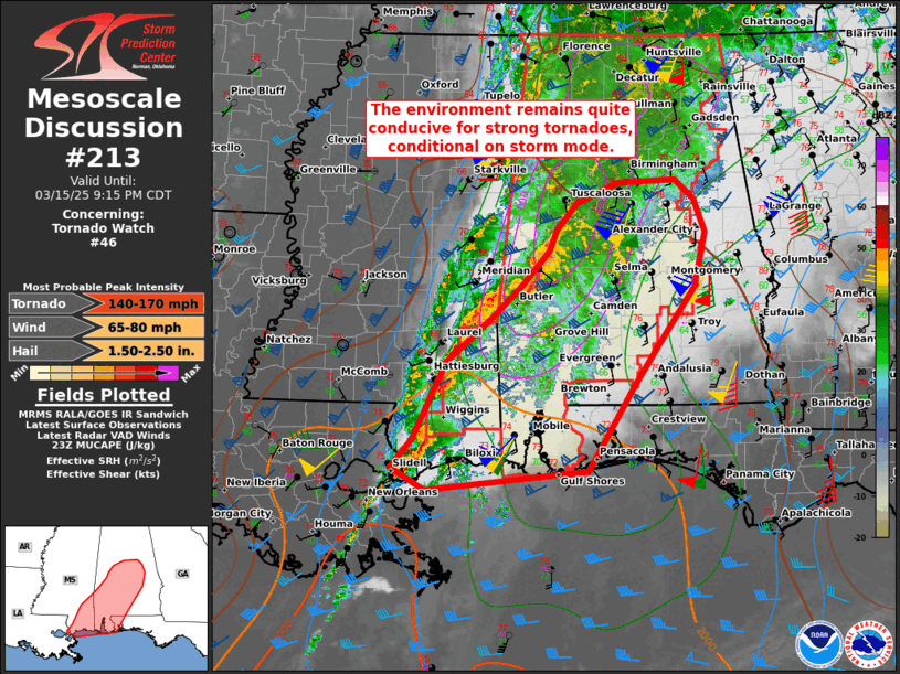 Mesoscale Discussion 213