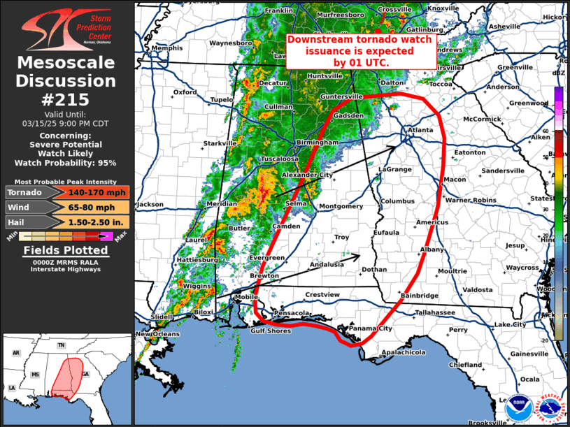 Mesoscale Discussion 215