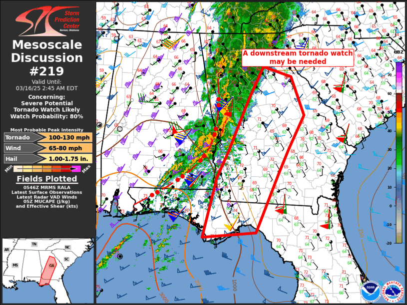 Mesoscale Discussion 219