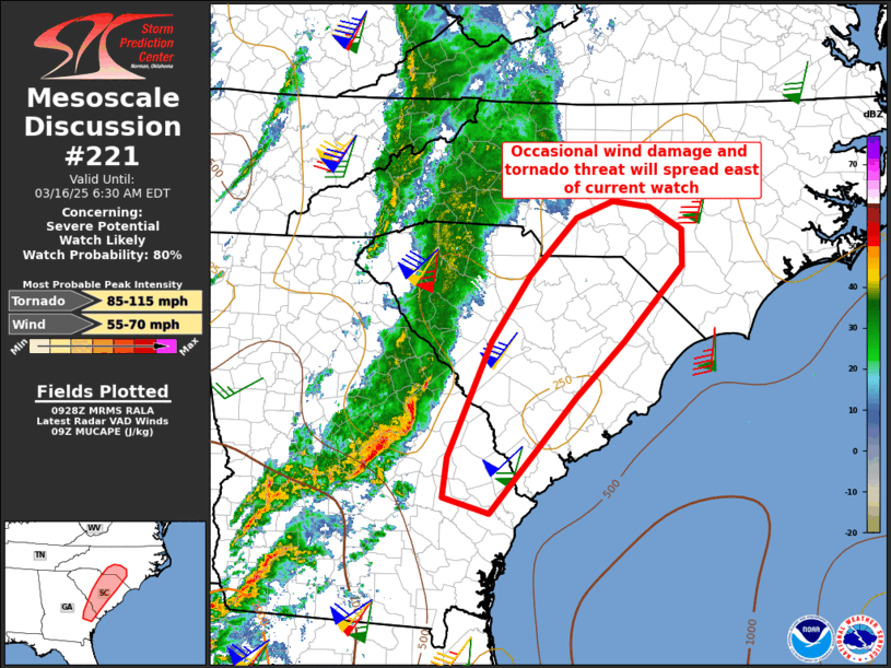 Mesoscale Discussion 221