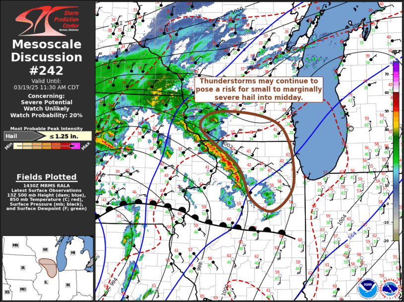 Mesoscale Discussion 242