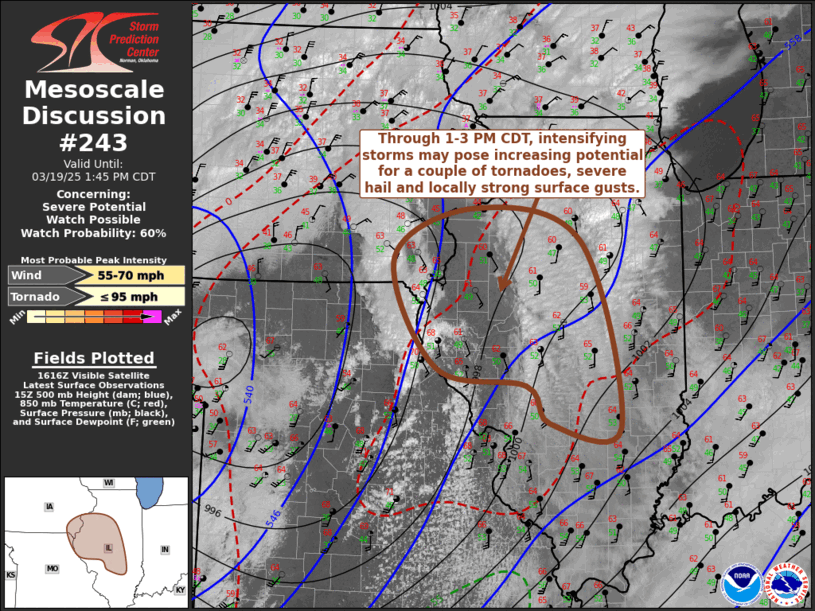 Mesoscale Discussion 243