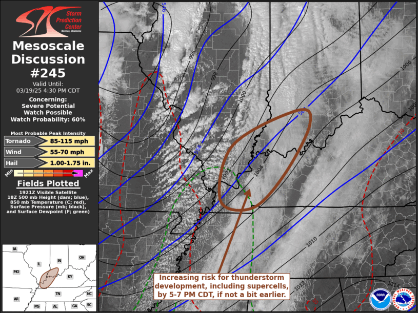 Mesoscale Discussion 245