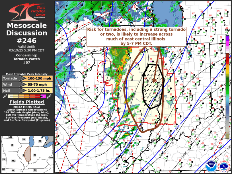 Mesoscale Discussion 246