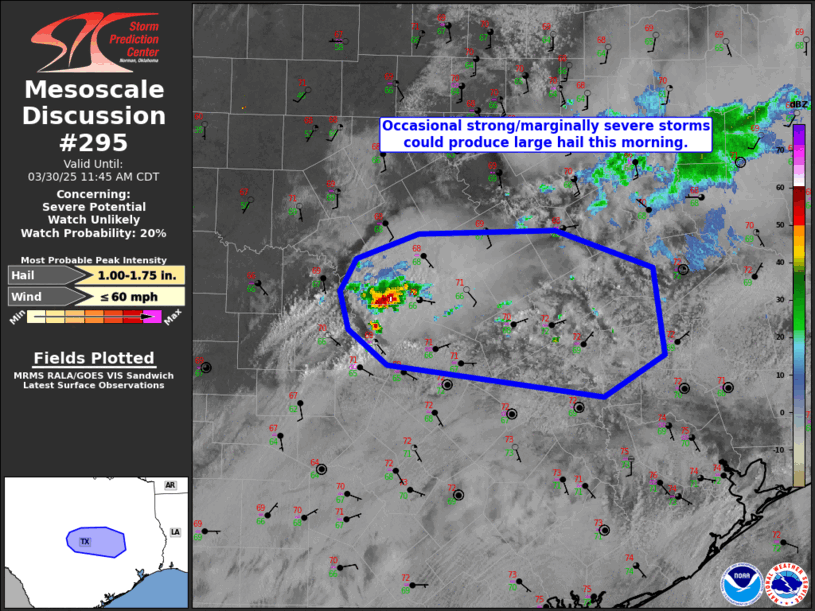 Mesoscale Discussion 295