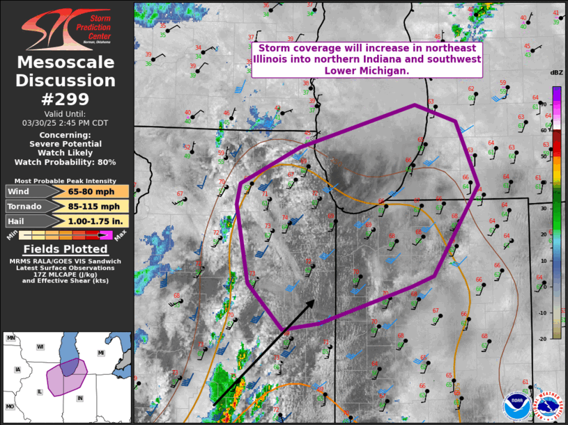 Mesoscale Discussion 299