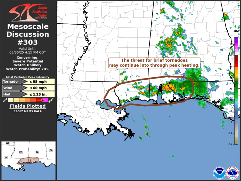 Mesoscale Discussion 303