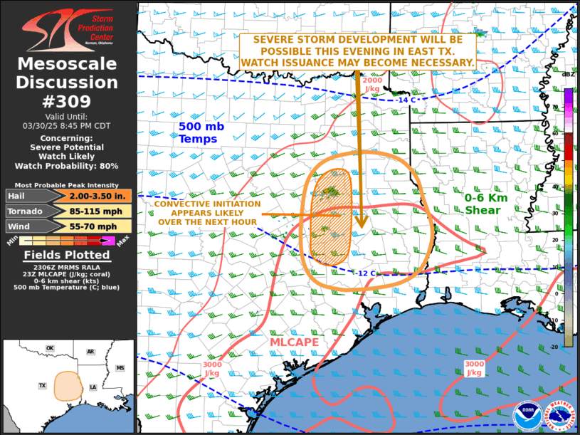 Mesoscale Discussion 309