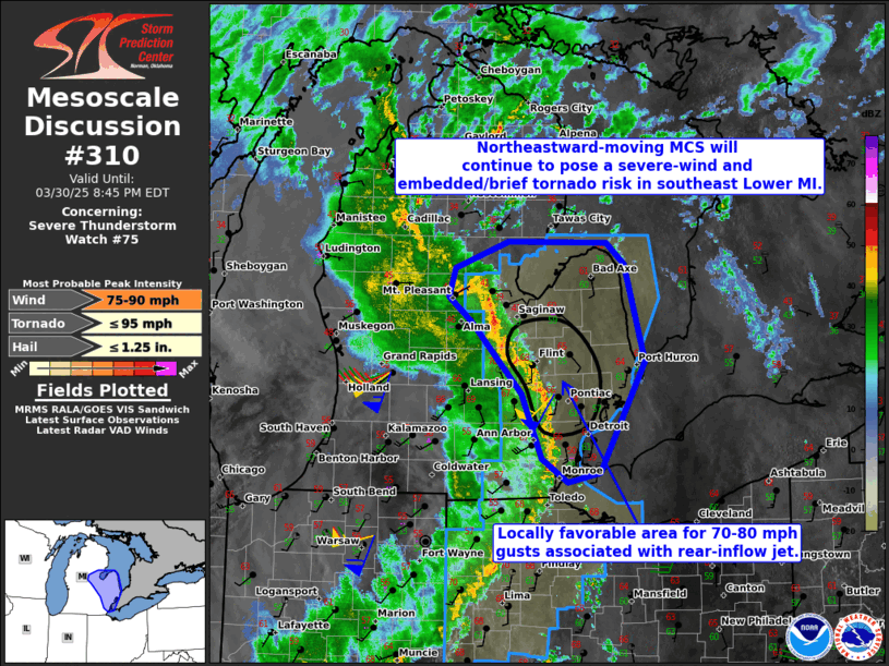 Mesoscale Discussion 310